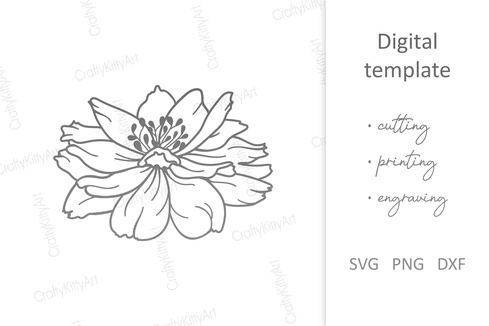 Marigold. Cosmos Flower. Floral Bud. SVG DXF PNG files Marigold. Cosmos Flower. Floral Bud. SVG DXF PNG files - CraftyKittyArt - 001