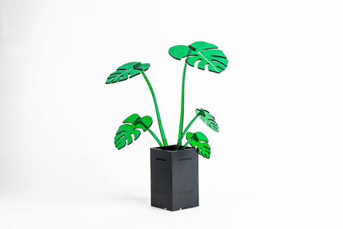 Acrylic Monstera - FLUX Inc - 001