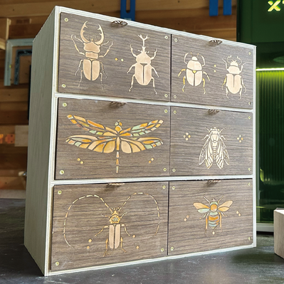 Insect pattern: cicada - Noviceworkshop - 003