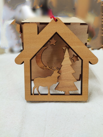 House Shape 3D Paintings - Sheng Laser workshop - 001