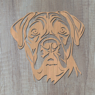 卡斯羅雷射 svg - HappyDesignStudio - 002