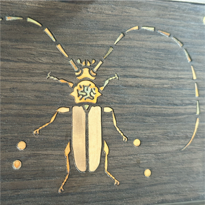 Insect pattern: long-breasted beetle - Noviceworkshop - 002