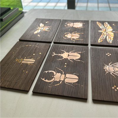 Insect pattern: dragonfly - Noviceworkshop - 003