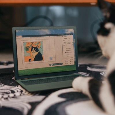 Laptops designed for cats
