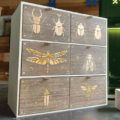 Insect pattern: dragonfly - Noviceworkshop - 004