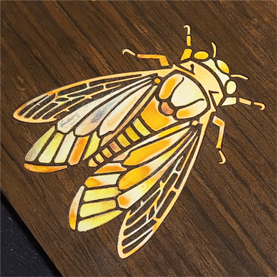 Insect pattern: cicada - Noviceworkshop - 002