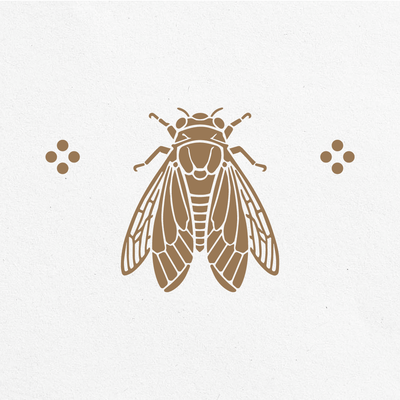 Insect pattern: cicada