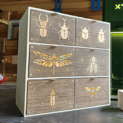 昆蟲圖案：金龜子 - 不務正業 - 003